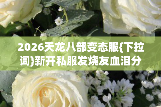 2026天龙八部变态服图片