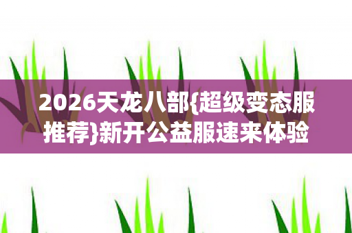 新开公益服速来体验图片
