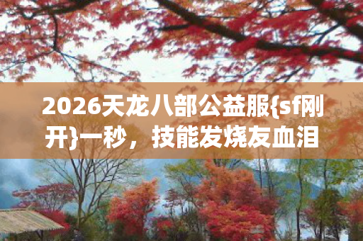 2026天龙八部公益服图片