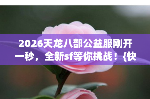 2026天龙八部公益服刚开一秒图片