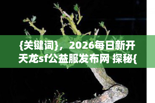 2026每日新开天龙sf公益服发布网 探秘图片