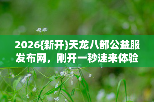 天龙八部公益服发布网图片