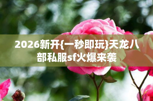 天龙八部私服sf火爆来袭图片