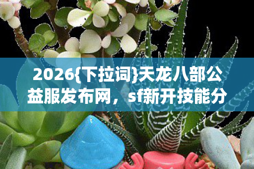 天龙八部公益服发布网图片