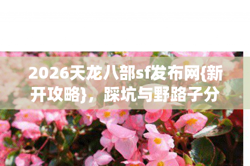 2026天龙八部sf发布网图片