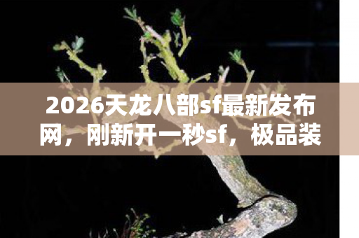 2026天龙八部sf最新发布网图片