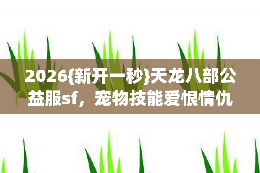 天龙八部公益服sf图片