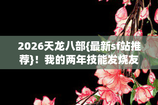 我的两年技能发烧友历程图片