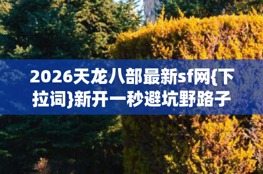 2026天龙八部最新sf网图片