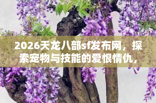 2026天龙八部sf发布网图片