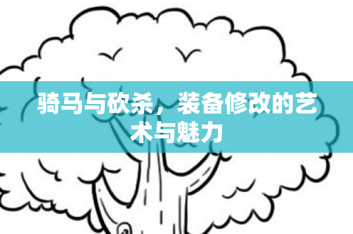 装备修改的艺术与魅力图片