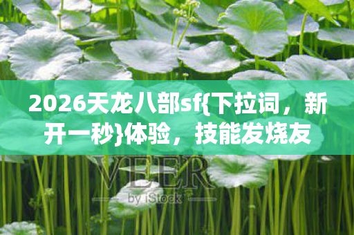 2026天龙八部sf图片