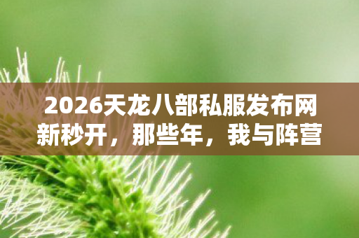 2026天龙八部私服发布网新秒开图片