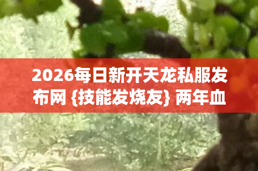 2026每日新开天龙私服发布网图片