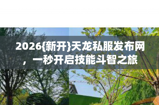 一秒开启技能斗智之旅图片