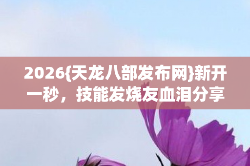 技能发烧友血泪分享图片