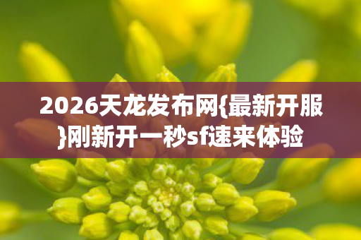 刚新开一秒sf速来体验图片