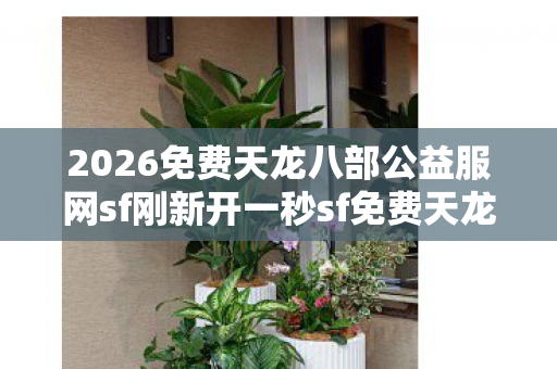2026免费天龙八部公益服网sf刚新开一秒sf免费天龙八部公益服网sf图片