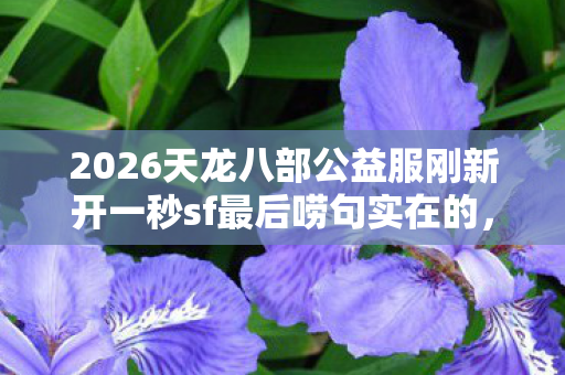 2026天龙八部公益服刚新开一秒sf最后唠句实在的图片