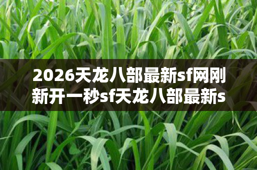 2026天龙八部最新sf网刚新开一秒sf天龙八部最新sf网图片