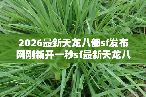 2026最新天龙八部sf发布网刚新开一秒sf最新天龙八部sf发布网图片