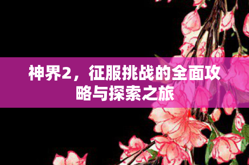 征服挑战的全面攻略与探索之旅图片