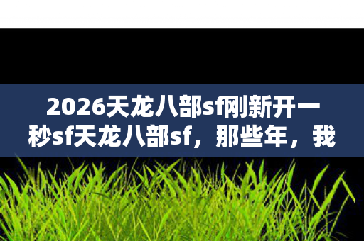 2026天龙八部sf刚新开一秒sf天龙八部sf图片