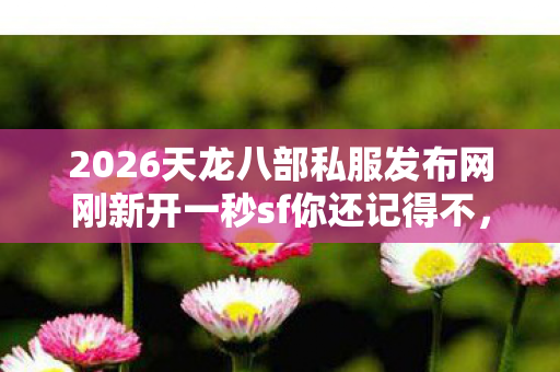 2026天龙八部私服发布网刚新开一秒sf你还记得不图片