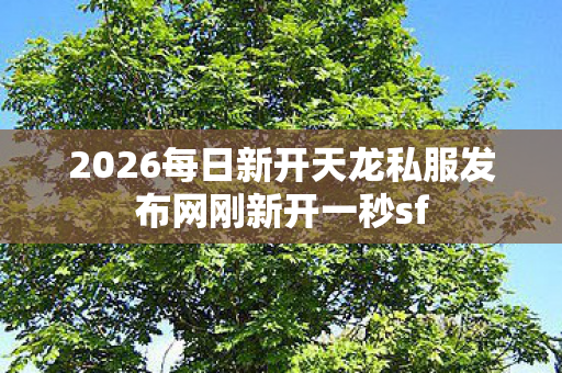 2026每日新开天龙私服发布网刚新开一秒sf图片