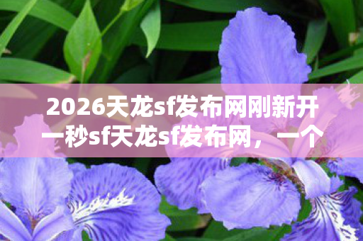 2026天龙sf发布网刚新开一秒sf天龙sf发布网图片