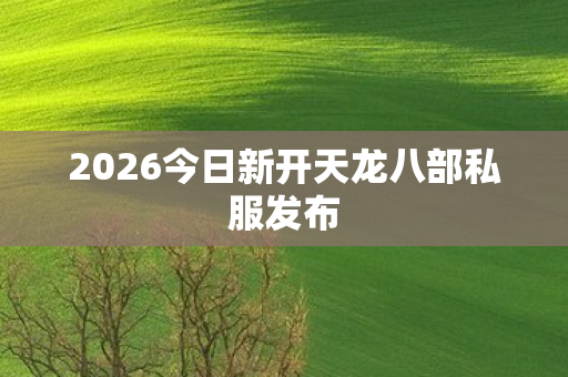 2026今日新开天龙八部私服发布图片