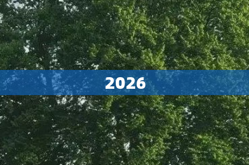 2026图片