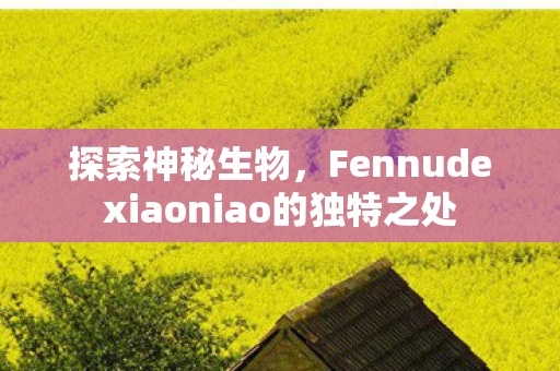 探索神秘生物,Fennudexiaoniao的独特之处 探索神秘生物,Fennudexiaoniao的独特之处