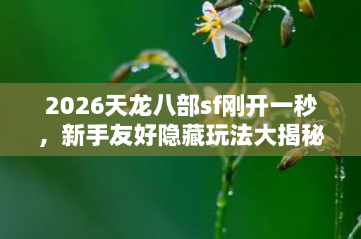 2026天龙八部sf刚开一秒图片