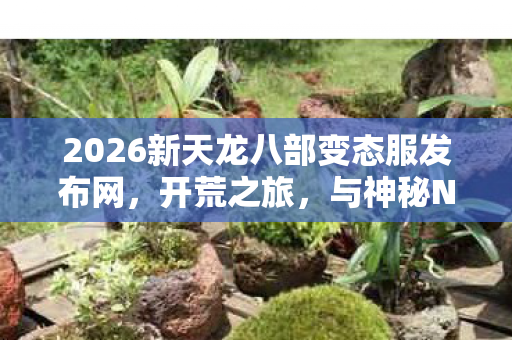 2026新天龙八部变态服发布网图片