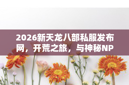2026新天龙八部私服发布网图片