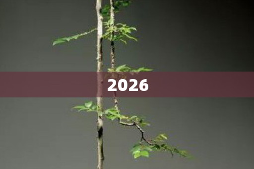 2026图片