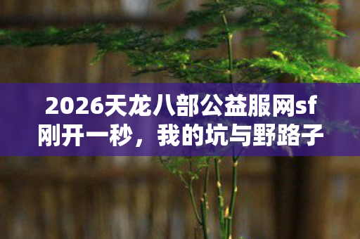 2026天龙八部公益服网sf刚开一秒图片