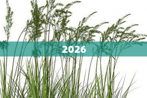 2026图片