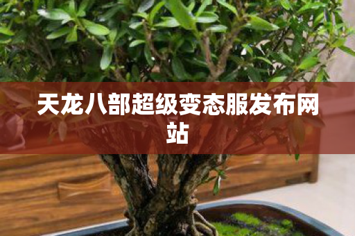 天龙八部超级变态服发布网站图片