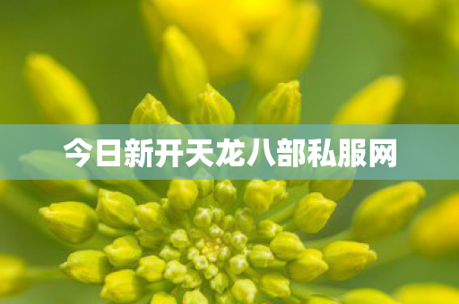今日新开天龙八部私服网图片