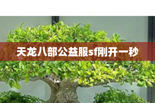 天龙八部公益服sf刚开一秒图片