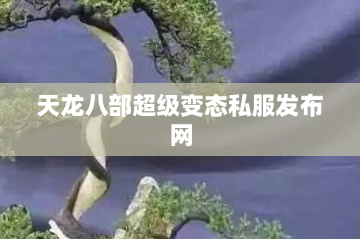 天龙八部超级变态私服发布网图片