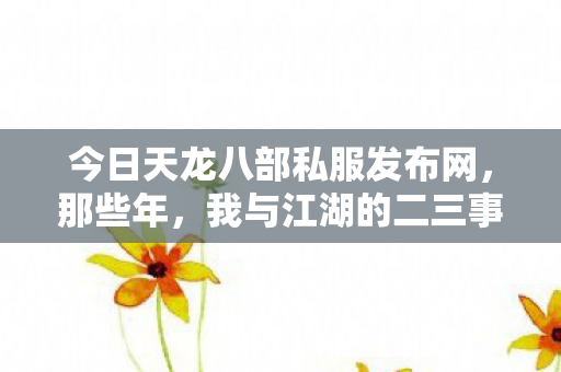 今日天龙八部私服发布网图片