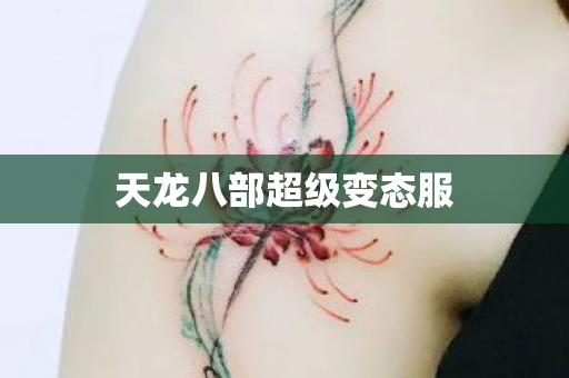 天龙八部超级变态服图片