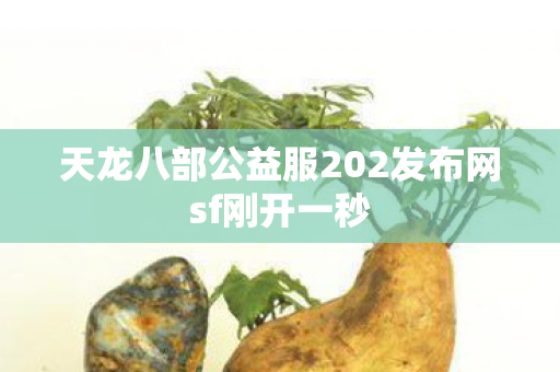天龙八部公益服202发布网sf刚开一秒图片
