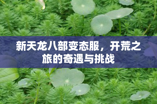 开荒之旅的奇遇与挑战图片