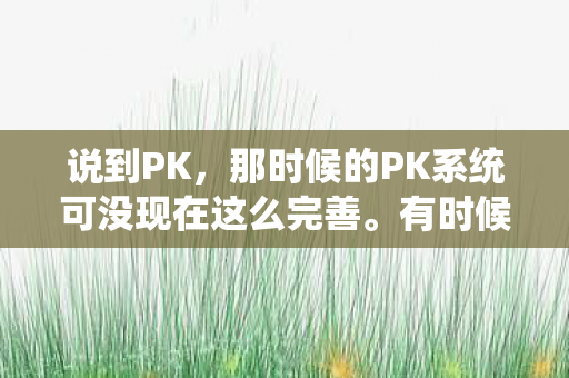 那时候的PK系统可没现在这么完善图片