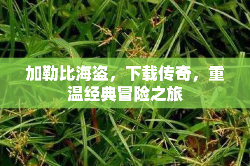 加勒比海盗,下载传奇,重温经典冒险之旅 加勒比海盗,下载传奇,重温经典冒险之旅