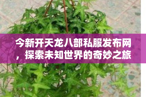 今新开天龙八部私服发布网图片